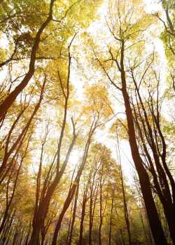 CureYourDebtWithDebtConsolidationLoansHowCanIGetOutOfWorldDebts Life Path Psychics psychics psychics reading